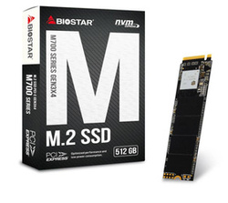 SSD-Festplatte | M.2 NVMe PCIe x4 Gen3, 512 GB | Biostar M700 BOX