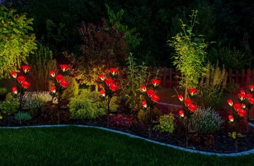 Solarblume | Solar-LED-Gartenlampe Rote Rosen | 74 cm, 600 mAh | FLD-35-RED