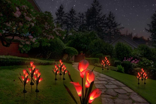 Solarblume | Solar-LED-Gartenlaterne Kalia | 67 cm, 600 mAh | FLD-38-PINK