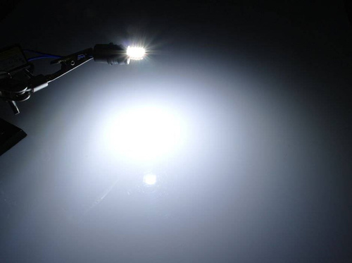 Auto-LED-Lampe W5W T10 20 SMD 3014 Apple