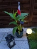 Garten Solar-LED-Laterne mit polnischer Flagge | 73cm 600mAh | FLD-12-PO