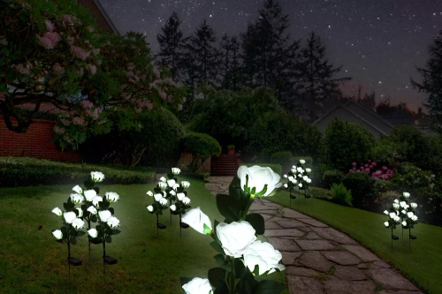 Solarblume | Solar-LED-Gartenlampe Weiße Rosen | 74 cm, 600 mAh | FLD-35-WHITE