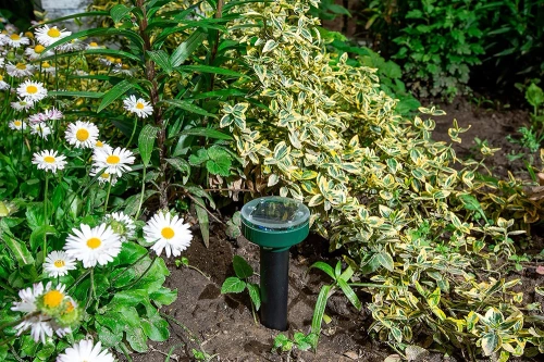 Nagerabwehr | Solar Maulwurfschreck, Wühlmausschreck, Schädlingsbekämpfung | YQJ-1203-BLACK