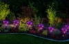 Solarblume | Solar-LED-Gartenlaterne Begonia | 60 cm, 600 mAh | FLD-27-PURPLE