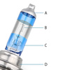 H1 55W 12V Halogen-Scheinwerferlampe Glühbirne | 2 Stück