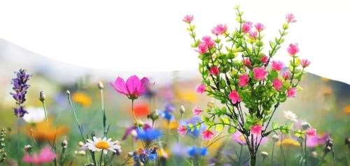 Solarblume | Solar-LED-Gartenlaterne | 65 cm, 600 mAh | FLD-31-PINK