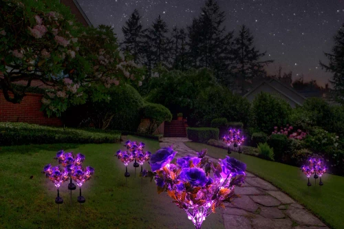 Solarblume | Solar-LED-Gartenlaterne Begonia | 60 cm, 600 mAh | FLD-27-PURPLE