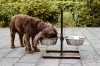 Doppelnapf für Futter und Wasser | Näpfe auf verstellbarem Ständer für Hund oder Katze | schwarz | LDB-2ML-BLACK