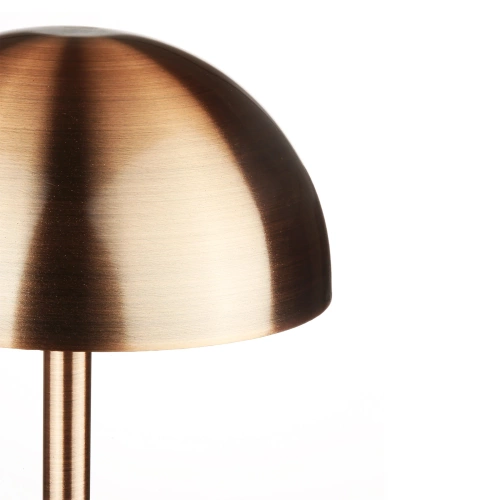 Kabellose Nachtlampe mit eingebautem 2000 mAh Akku | Moderne Tischlampe mit einstellbarer Leistung und Lichtfarbe | YG-D019-Kupfer