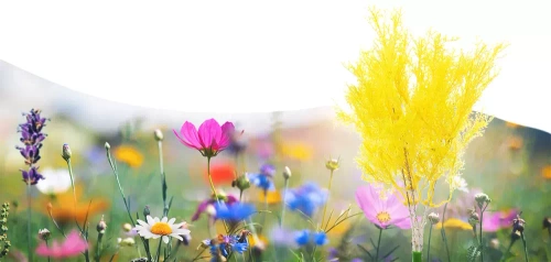 LED-Gartenleuchte solarbetrieben | 65 cm, 600 mAh | gelb | FLD-43-YELLOW