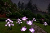 Solarblume | Solar-LED-Gartenlaterne Narzisse Narzisse | 67 cm, 600 mAh | FLD-24