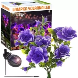 LED-Gartenleuchte Solar-Blume Begonie | 60 cm, 600 mAh | purple | FLD-27-PURPLE