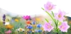 Solarblume | Solar-LED-Gartenlaterne Narzisse Narzisse | 67 cm, 600 mAh | FLD-24