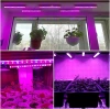 Pflanzenwachstumslampe | 6W Pflanzenlampe | DG-T5-Whitel