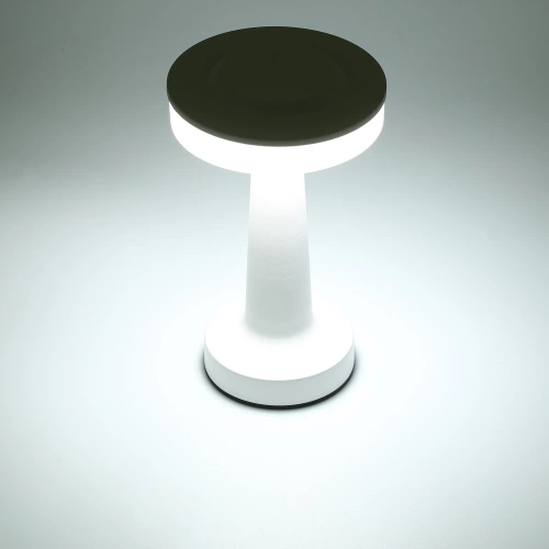 Kabellose Tischleuchte | Touch-Nachtleuchte mit einstellbarer Lichtfarbe | USB-Leuchte | HJA14-SILVER