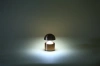LED-Tischlampe Pilz | Kabellose Lampe für Hotel, Restaurant | Berührungsempfindliche Nachttischlampe | HJA41-GOLD