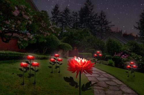 Solarblume | Solar-LED-Gartenlaterne Chrysantheme | 72 cm, 600 mAh | FLD-26-PINK
