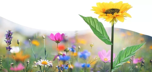 Solarblume | Solar-LED-Gartenlaterne Sonnenblume | 68 cm, 600 mAh | FLD-21-GELB
