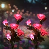 Solarblume | Solar-LED-Gartenlampe Pink Roses | 74 cm, 600 mAh | FLD-35-PINK