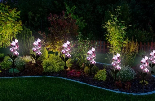 Solarblume | Solar-LED-Gartenlampe Orchidee | 75 cm, 600 mAh | FLD-23-WP