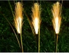 Solarblume | Solar-LED-Gartenlampe Pampasgras | 73 cm, 600 mAh | FLD-04-W