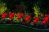 Solarblume | Solar-LED-Gartenlaterne Peonia rot | 80 cm, 600 mAh | FLD-10-RED