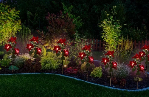 Solarblume | Garten Solar LED Lampe Stern von Bethlehem | 70 cm, 600 mAh | FLD-22-RED