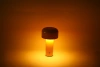 Tischlampe | YG-D017-BL