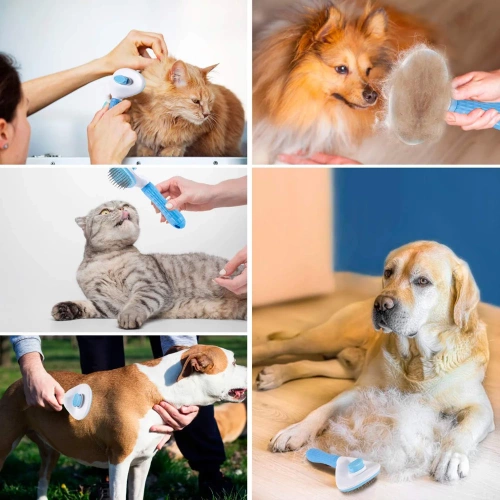 Tierpflegebürste zur Fellpflege für Hunde und Katzen | selbstreinigende Bürste | PSC-195-BLUE