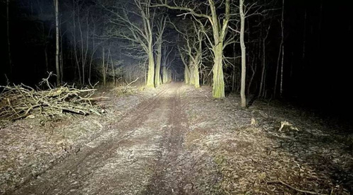 LED-Arbeitsleuchte | 180 W, gebogener Light Bar, rechteckig, CREE | LB-GB-180-C