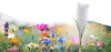 Solarblume | Solar-LED-Gartenlampe Pampasgras | 73 cm, 600 mAh | FLD-04-W