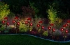LED-Gartenleuchte Solar Blume Weihnachtsstern | 70 cm, 600 mAh | rot | FLD-22-RED