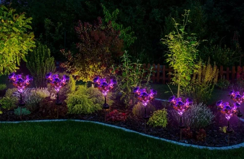 Solarblume | Solar-LED-Gartenlaterne Begonia | 60 cm, 600 mAh | FLD-27-PURPLE