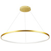 Einzelstück Moderne Pendelleuchte | LED | Gold | RLK-C01-30W-G