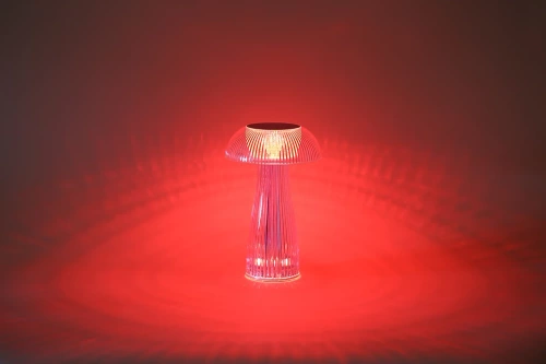 LED-Tischlampe | RGB-Nachtlicht mit integriertem Akku und Fernbedienung | YG-1128-C16