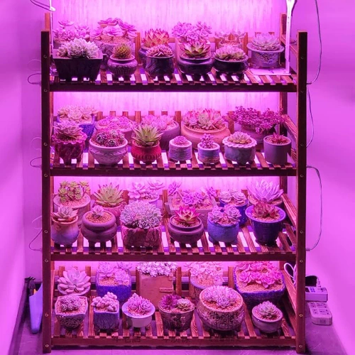 LED-Pflanzenleuchte | 6 W, mit Netzkabel und Verbindungskabel | DG-T5-White