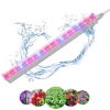 Pflanzenwachstumslampe | 6W Pflanzenlampe | DG-T5-Whitel