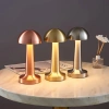 Kabellose Tischlampe | Touch-Nachtlicht mit einstellbarer Lichtfarbe | Pilz-USB-Lampe | HJA11-SILVER
