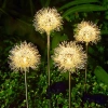 Solarblume | Solar-LED-Gartenlaterne Pusteblume | 68 cm, 600 mAh | FLD-28-W