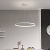 Einzelstück Moderne Hängelampe | LED | Weiß | RLK-C01-30W-W