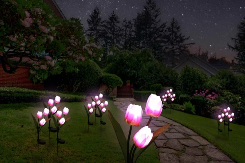 Solarblume | Solar-LED-Gartenlaterne Tulpe | 65 cm, 600 mAh | FLD-40-PINK