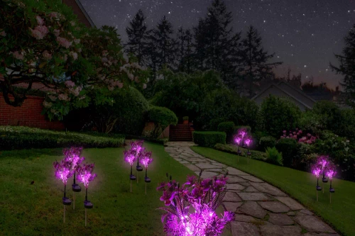 Solarblume | Solar-LED Gartenlampe Orchideenstrauß | 60 cm, 600 mAh | FLD-16-LILA