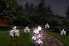 LED-Gartenleuchte Solarblume Orchidee | 75 cm, 600 mAh | FLD-23-WP