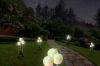 LED-Gartenleuchte Solarblume Knoblauch | 73 cm, 600 mAh | FLD-05-C