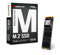 Biostar M700 M.2 NVMe PCI-E x4 Gen3 256 GB BOX-SSD