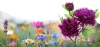 Solarblume | Solar-LED-Gartenlaterne Peonia lila | 80 cm, 600 mAh | FLD-10-PURPLE