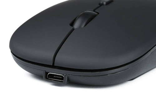 Kabellose optische Bürocomputermaus | 2,4 GHz + Bluetooth 5.2 | 800-1600 DPI | Schwarz | X1-Dual