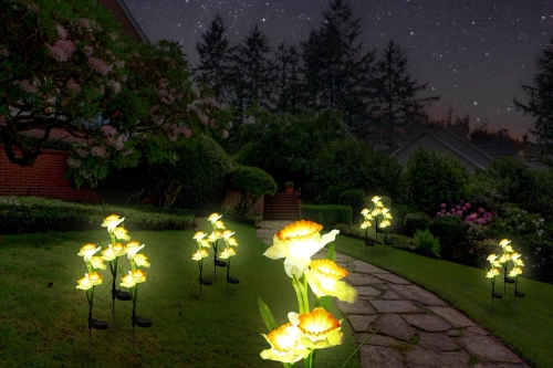 FLD-24 | Solarblume | LED-Solar-Gartenlampe Narzisse Narzisse | 67 cm, 600 mAh