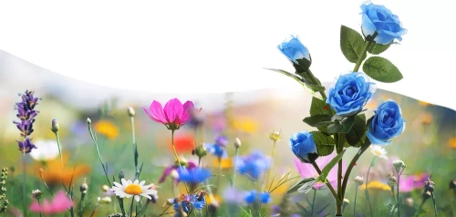 Solarblume | Solar-LED-Gartenlampe Blaue Rosen | 74 cm, 600 mAh | FLD-35-BLUE