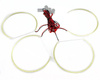 Satz COB-LED-Ringe